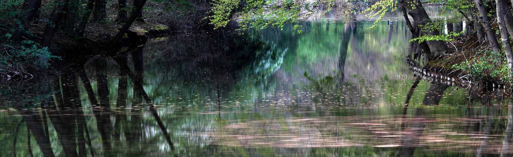 Frühling am Bagnosee ...