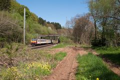 Frühling am Bahndamm -3 -