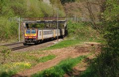 Frühling am Bahndamm - 6 -