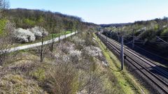 Frühling am Bahndamm