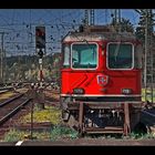 Frühling am Bahnhof