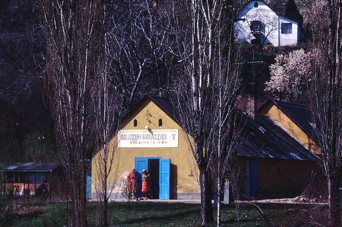 Frühling am Balaton