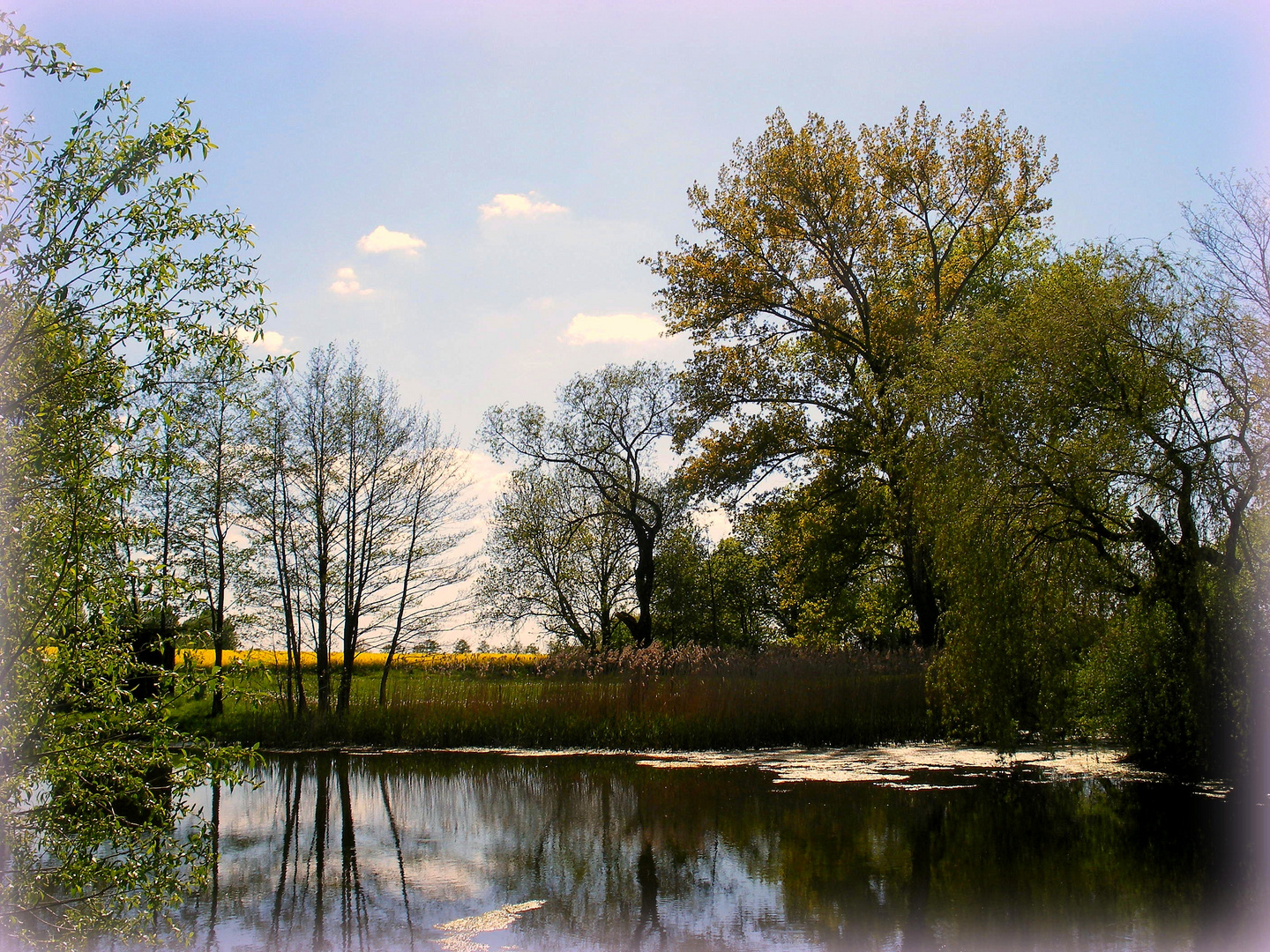 Frühling am Barsikower Upstall