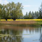 Frühling am Barsikower Upstallsee