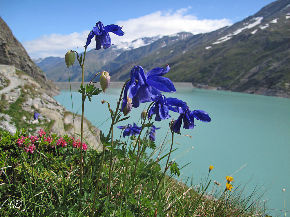 Frühling am Berg