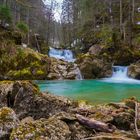 Frühling am Bergbach / Wengibach bei Kaltbrunn