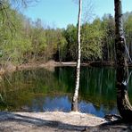 Frühling am Blauen See in Schmannewitz, Dahlener Heide (1)