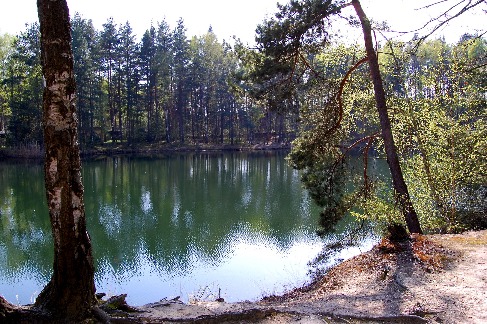 Frühling am Blauen See in Schmannewitz, Dahlener Heide (2) Foto & Bild