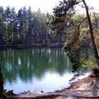 Frühling am Blauen See in Schmannewitz, Dahlener Heide (2)