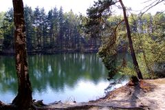 Frühling am Blauen See in Schmannewitz, Dahlener Heide (2)