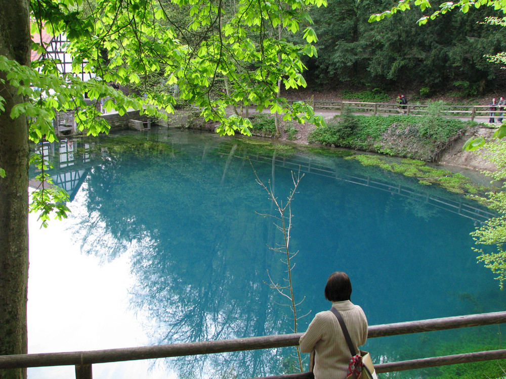 Frühling am Blautopf