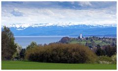 Frühling am Bodensee