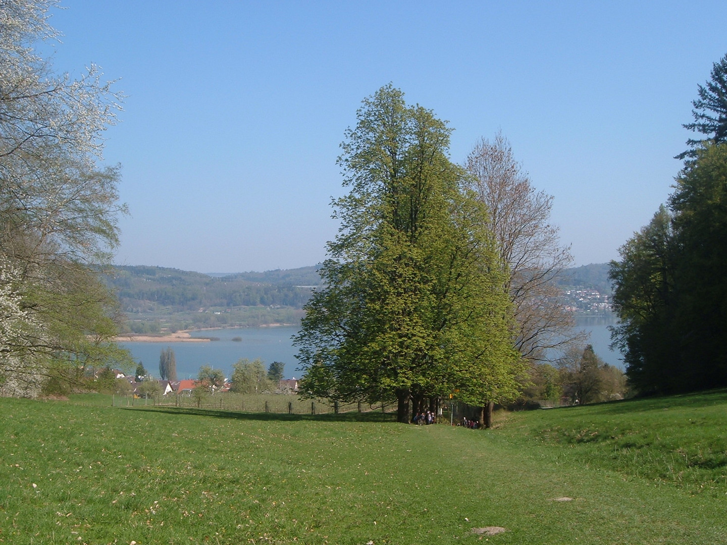 Frühling am Bodensee