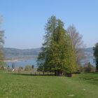 Frühling am Bodensee