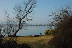 Frühling am Bodensee