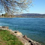 Frühling am Bodensee