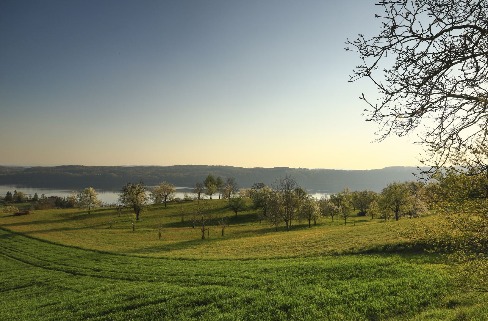 Frühling am Bodensee