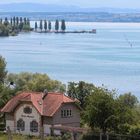 Frühling am Bodensee