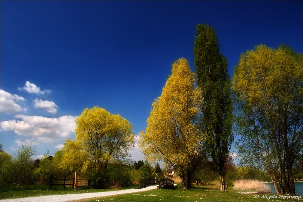 Frühling am Bodensee