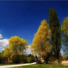 Frühling am Bodensee