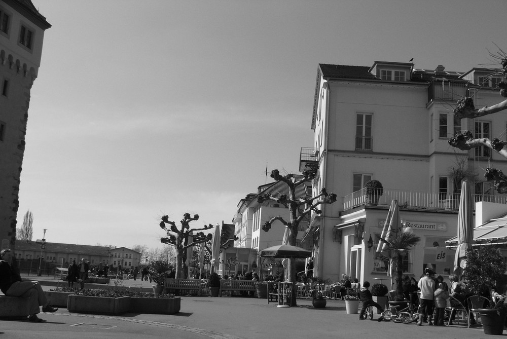 Frühling am Bodensee