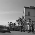 Frühling am Bodensee