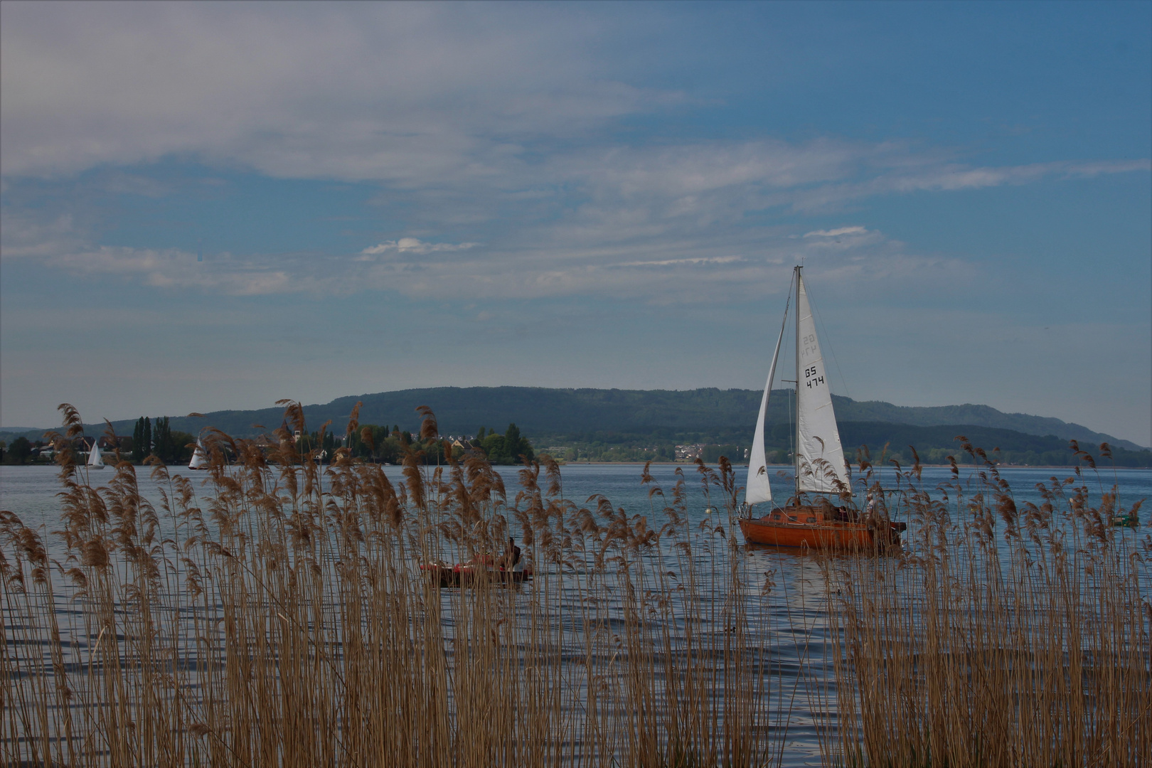 Frühling am Bodensee