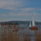 Frühling am Bodensee