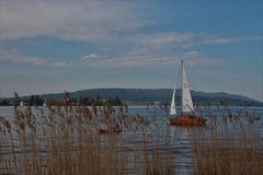 Frühling am Bodensee