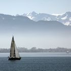 Frühling am Bodensee