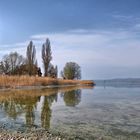 Frühling am Bodensee. 