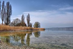 Frühling am Bodensee. 