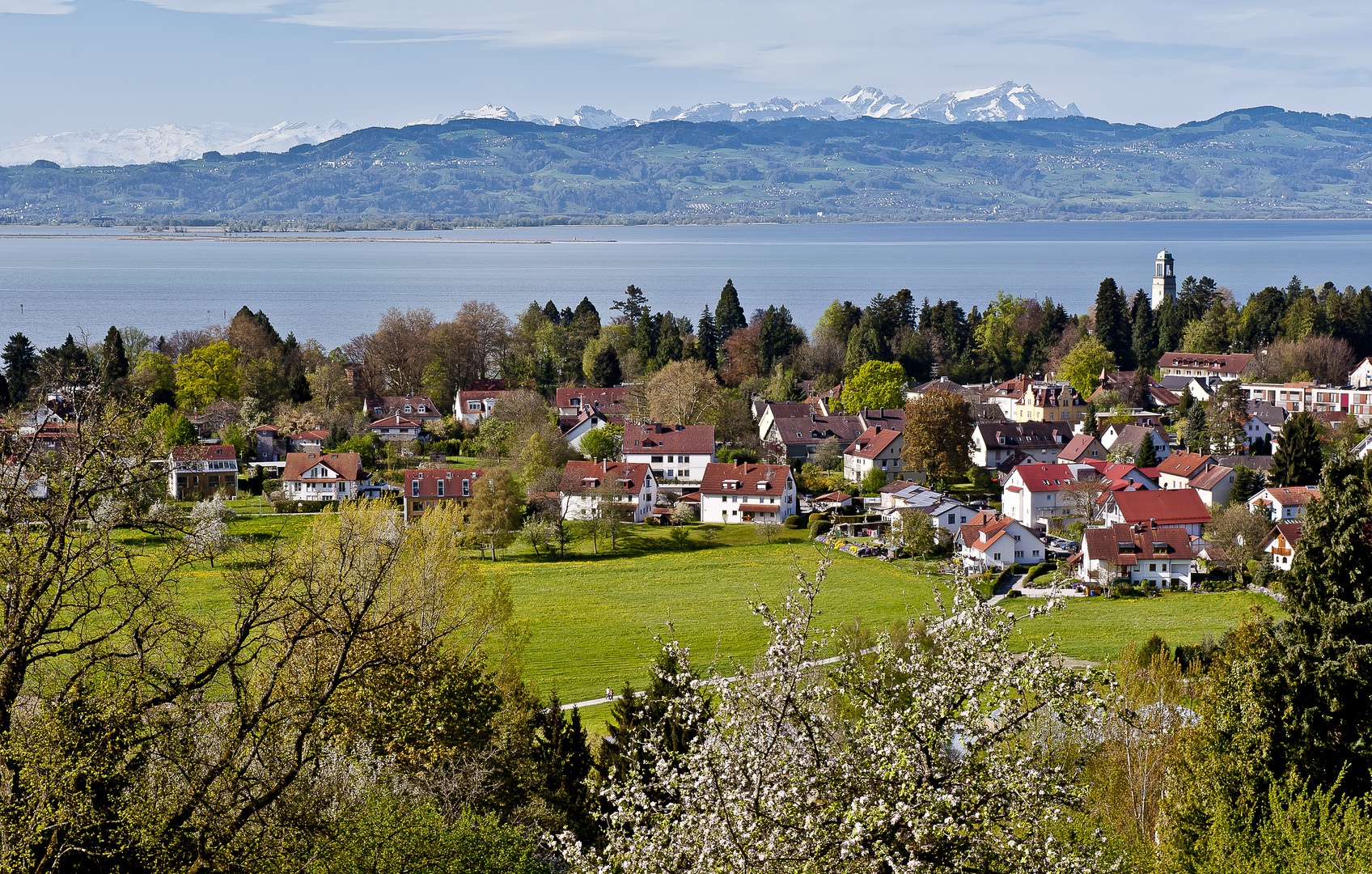 Frühling am Bodensee...