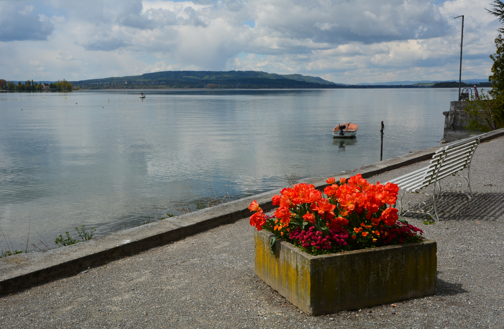 Frühling am Bodensee I