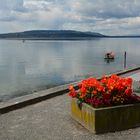 Frühling am Bodensee I