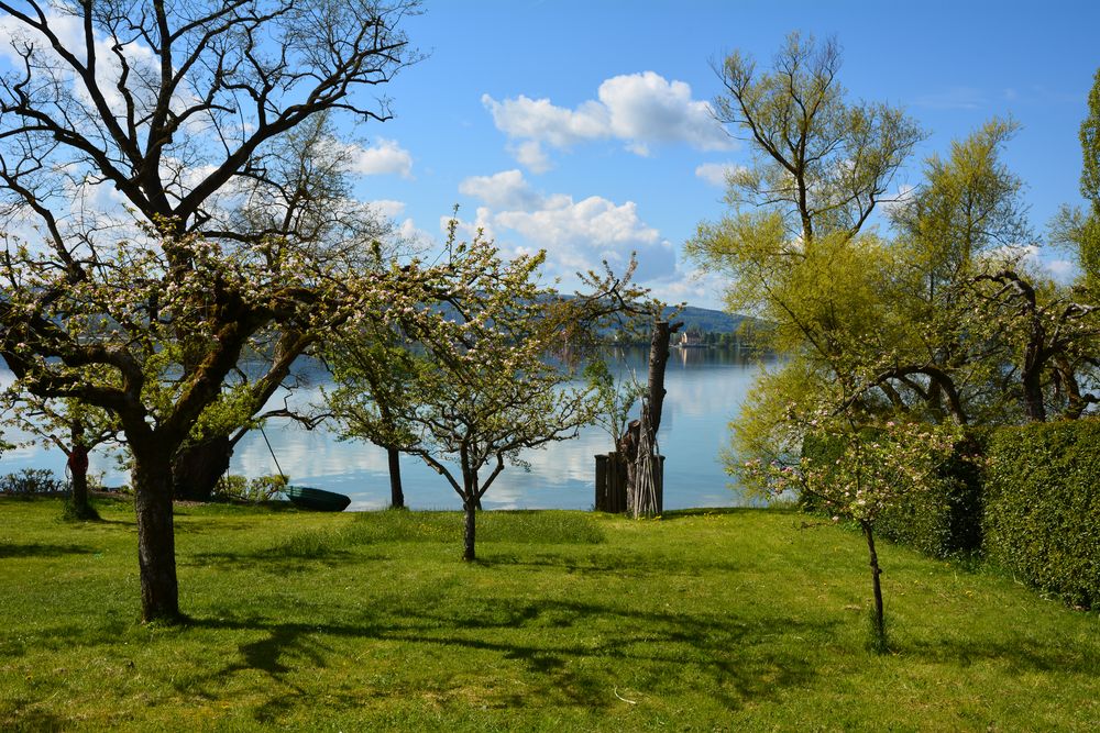 Frühling am Bodensee II