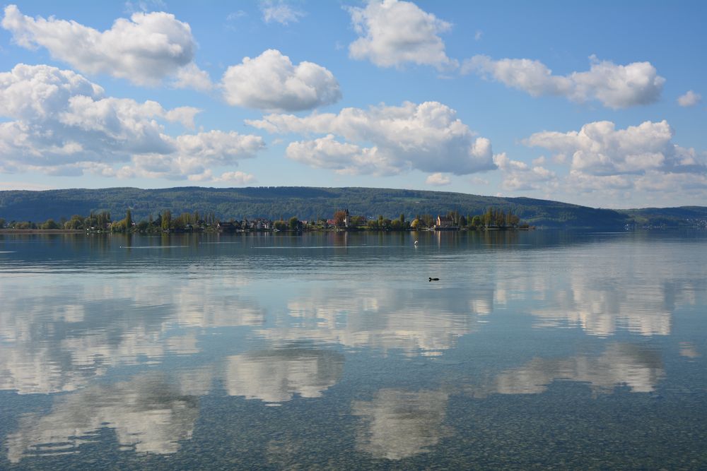 Frühling am Bodensee III