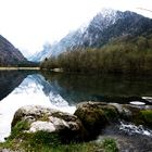 Frühling am Brunnsee