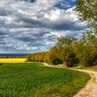 Frühling am Buk