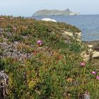 Frühling am Cap Corse (auch in 3D)