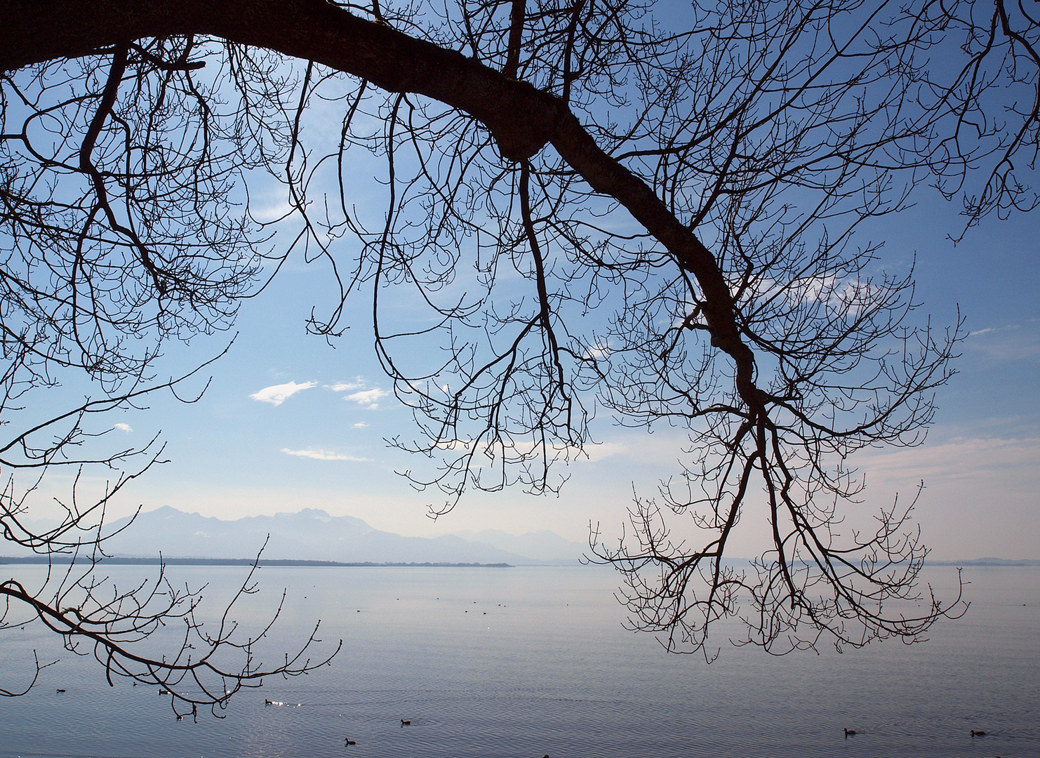 Frühling am Chiemsee