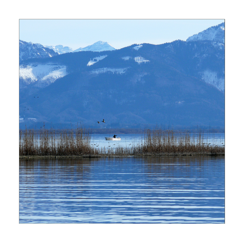 Frühling am Chiemsee