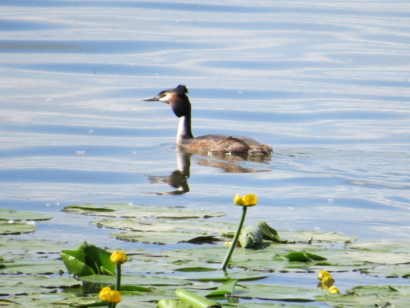 Frühling am Chiemsee