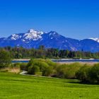 Frühling am Chiemsee