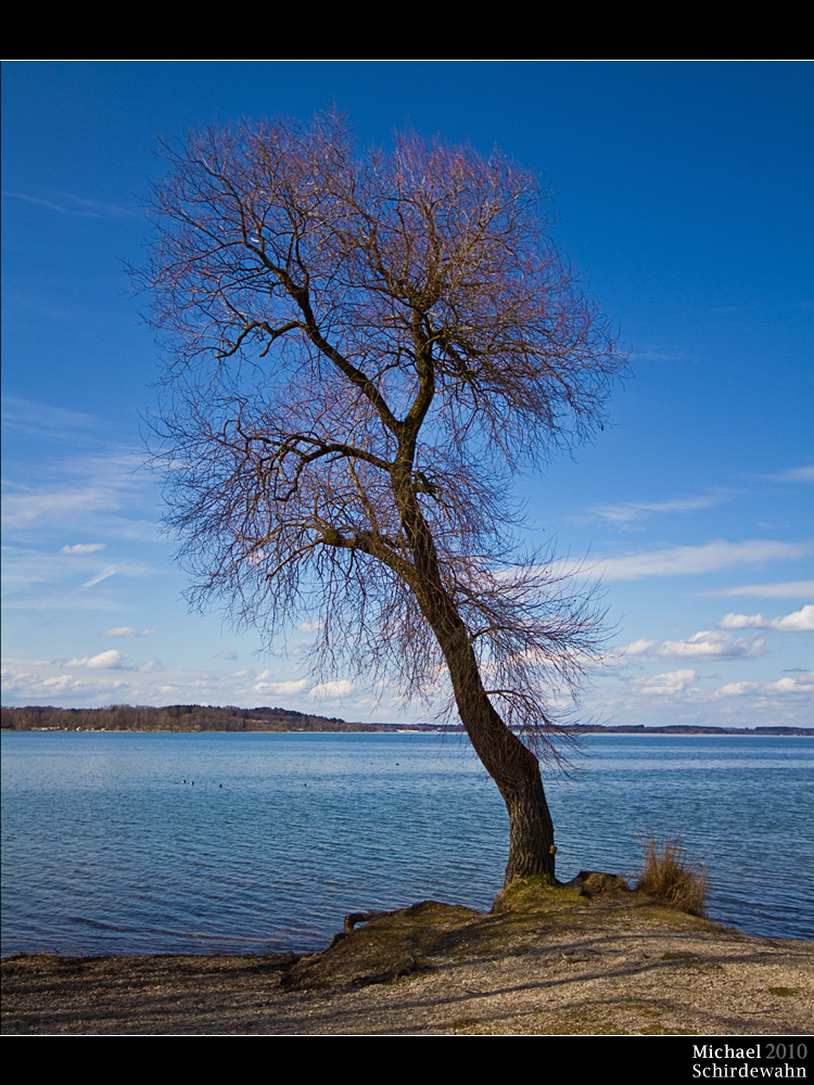 Frühling am Chiemsee