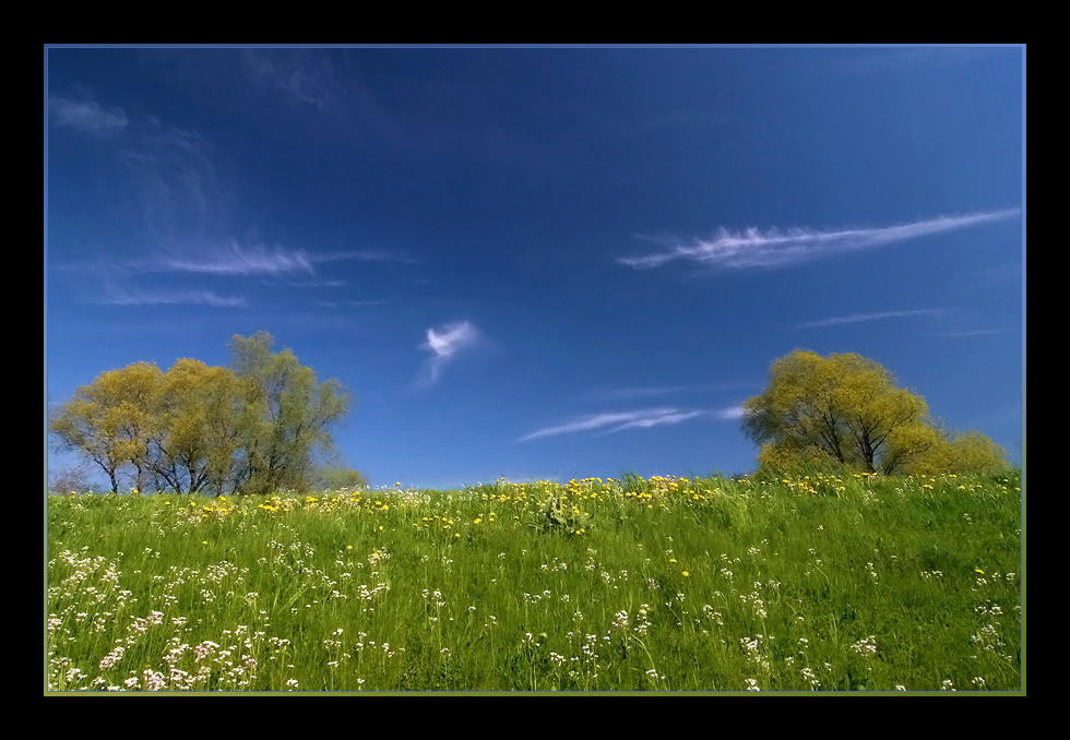 Frühling am Deich #1