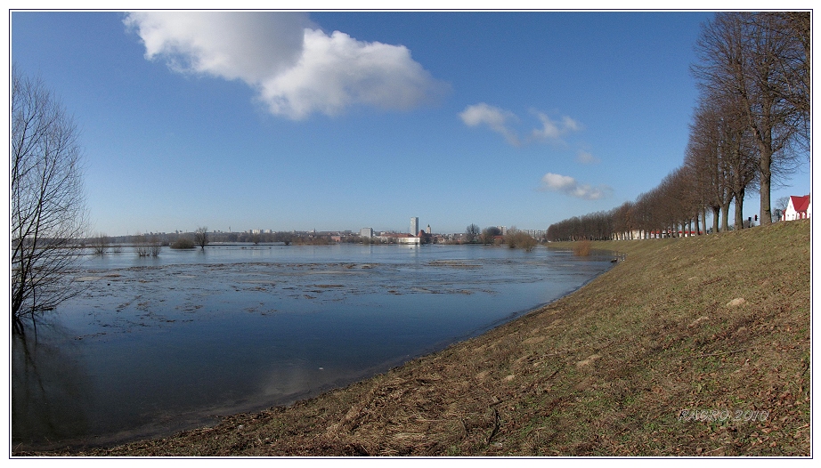 Frühling am Deich