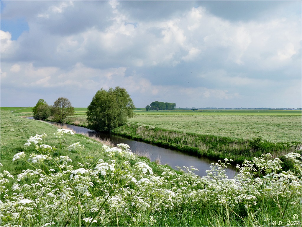 Frühling am Dollart in Ostfriesland.