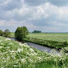 Frühling am Dollart in Ostfriesland.