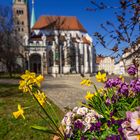 Frühling am Dom